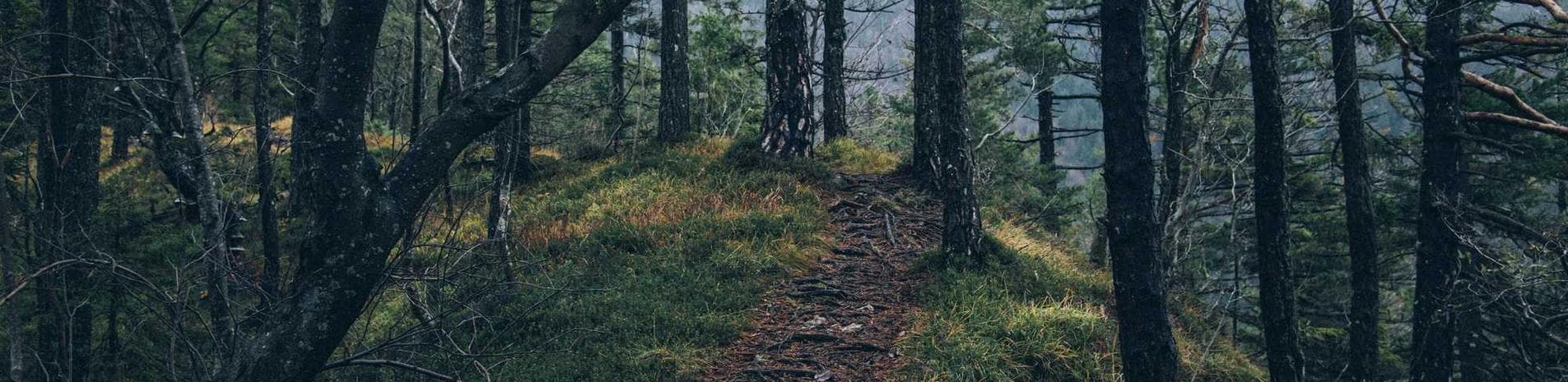 Riverview County: Optimizing Resource Allocation