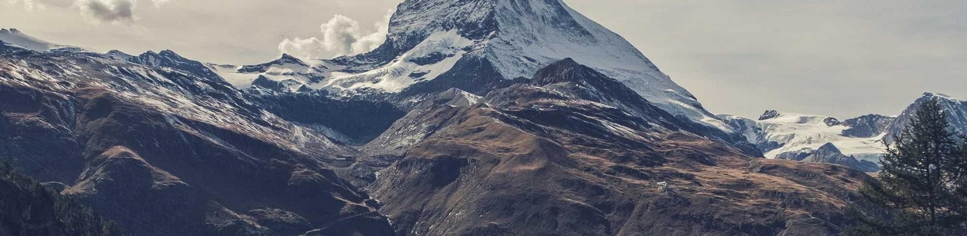 Article thumbnail: The Power of Predictive Analytics in Public Safety